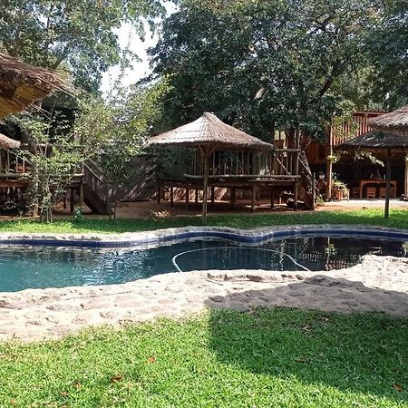 Elephant Trail Guesthouse And Backpackers Kasane Ngoại thất bức ảnh