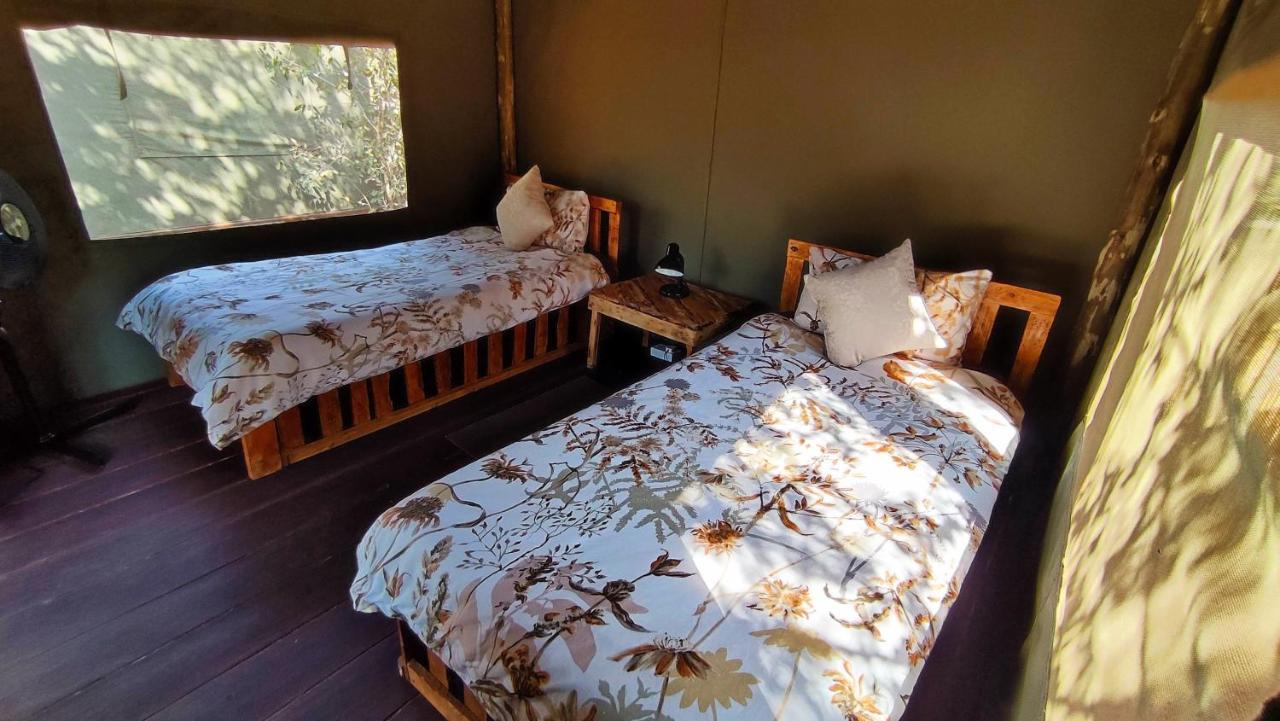 Elephant Trail Guesthouse And Backpackers Kasane Ngoại thất bức ảnh