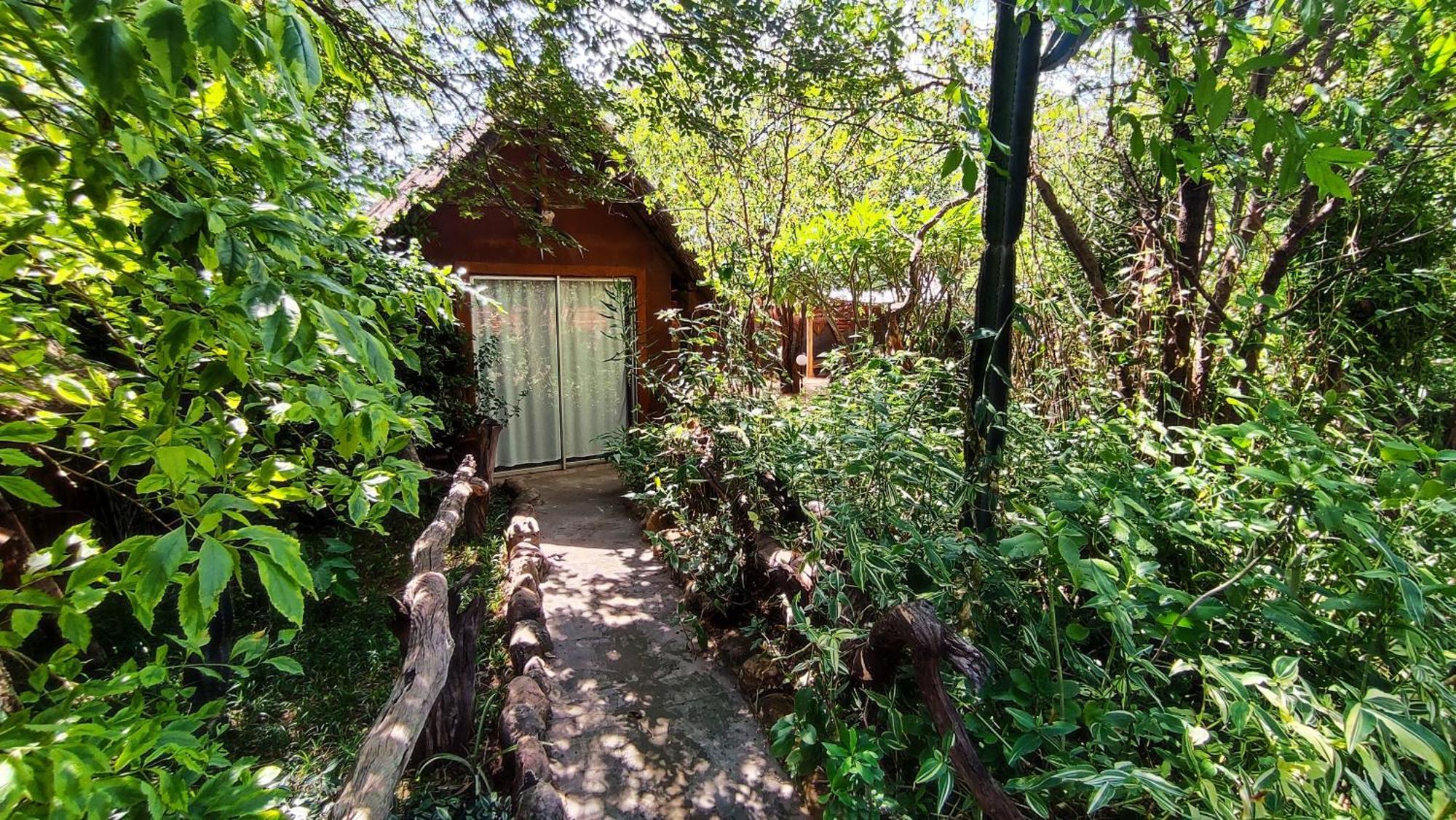 Elephant Trail Guesthouse And Backpackers Kasane Ngoại thất bức ảnh