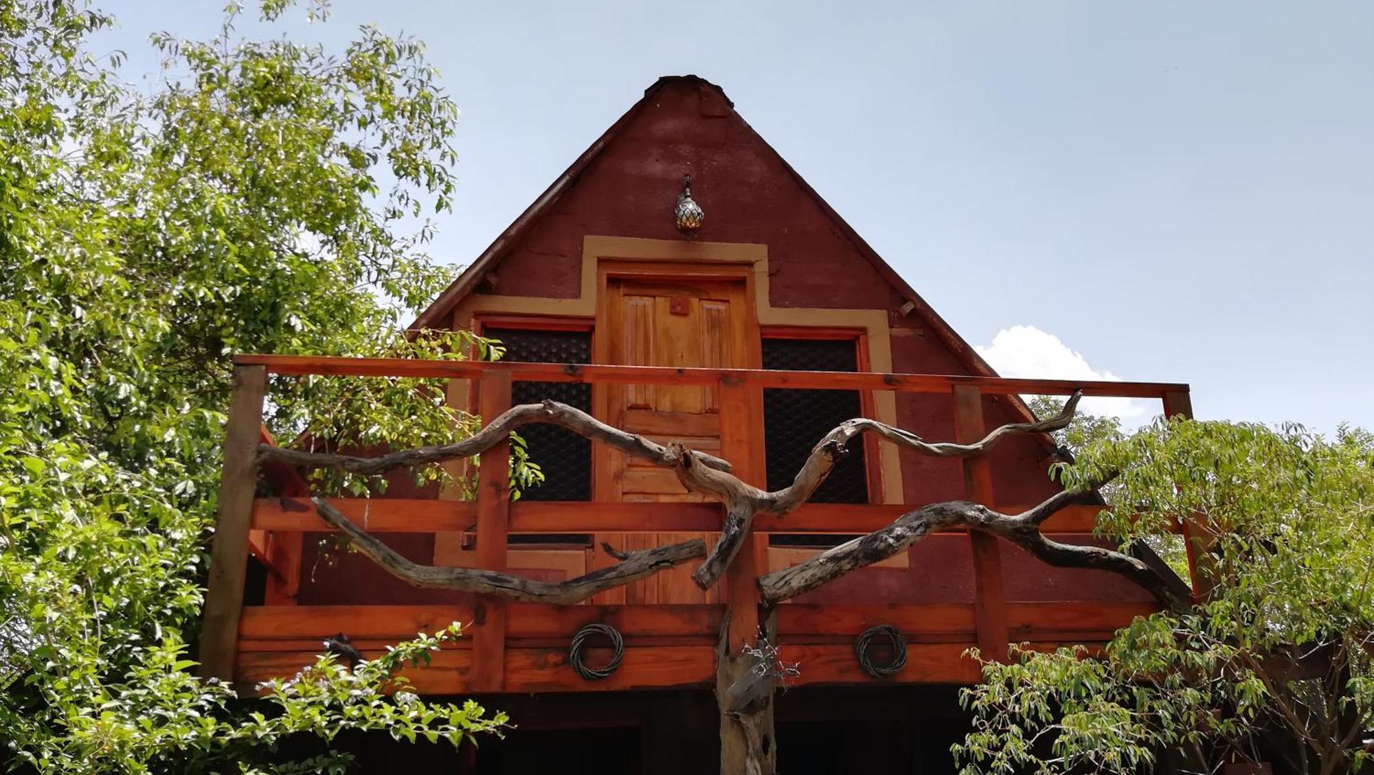 Elephant Trail Guesthouse And Backpackers Kasane Phòng bức ảnh