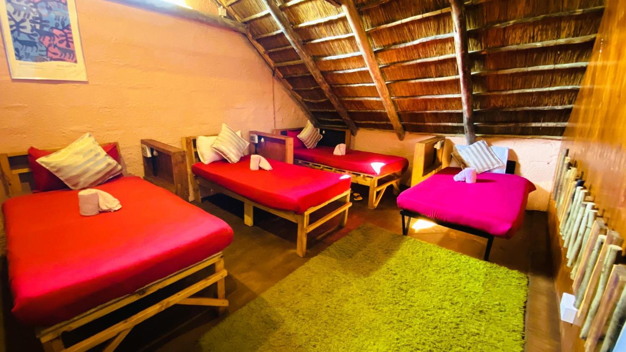 Elephant Trail Guesthouse And Backpackers Kasane Phòng bức ảnh