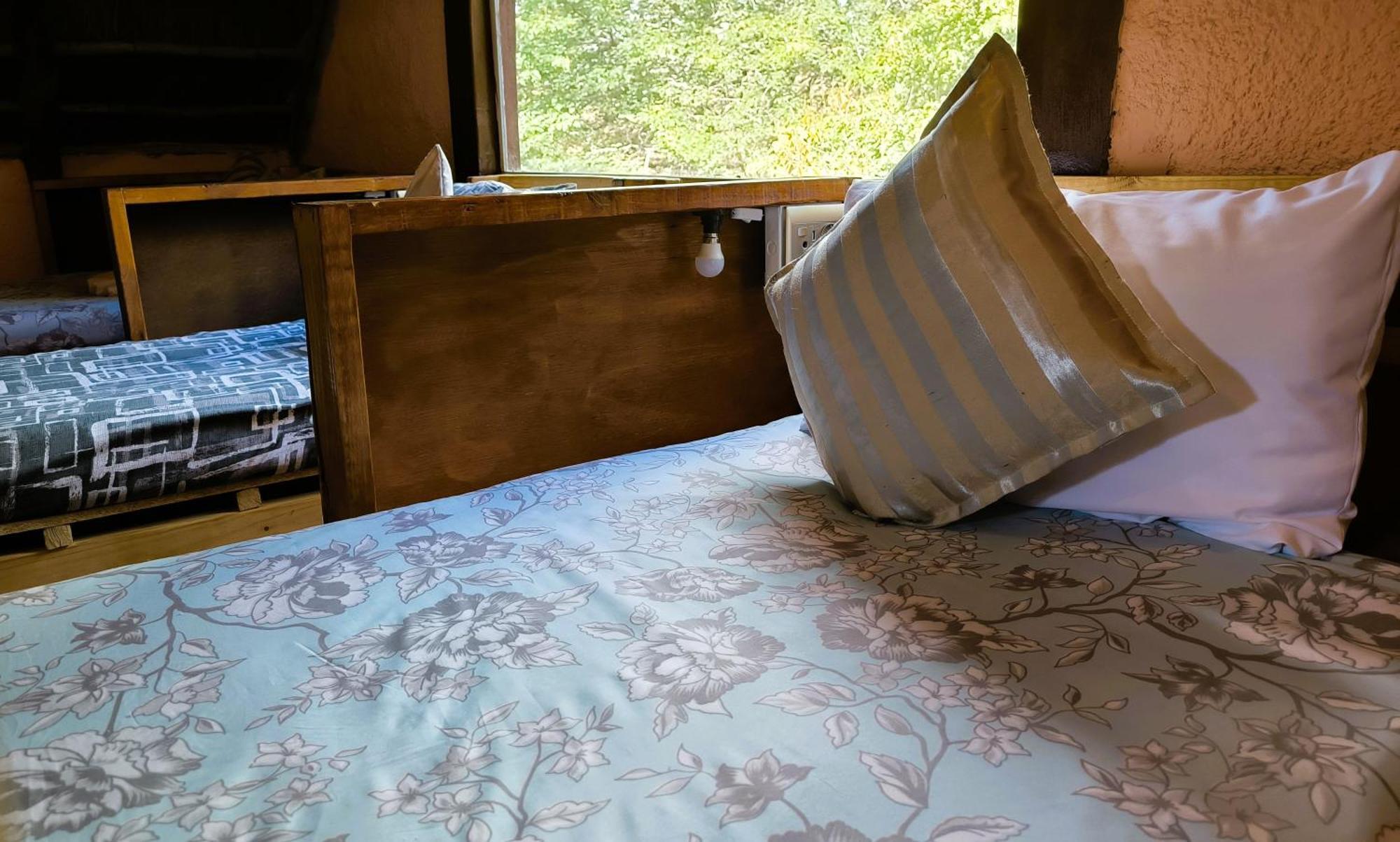 Elephant Trail Guesthouse And Backpackers Kasane Phòng bức ảnh