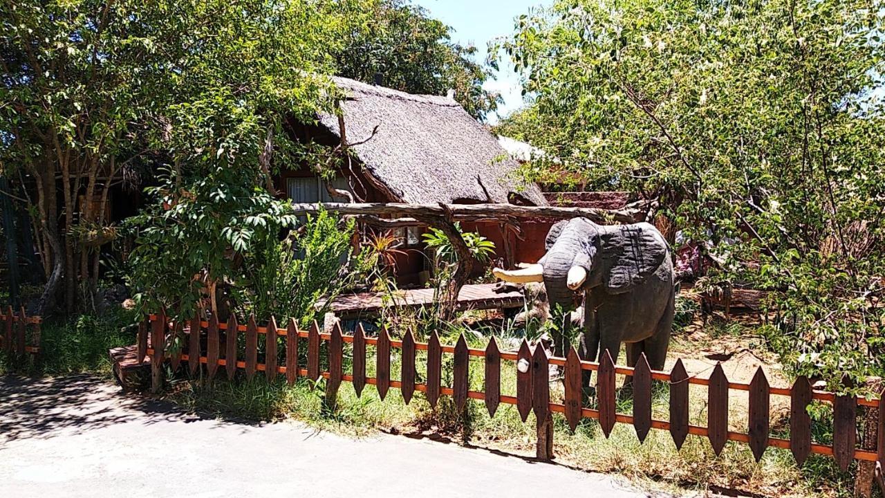 Elephant Trail Guesthouse And Backpackers Kasane Ngoại thất bức ảnh