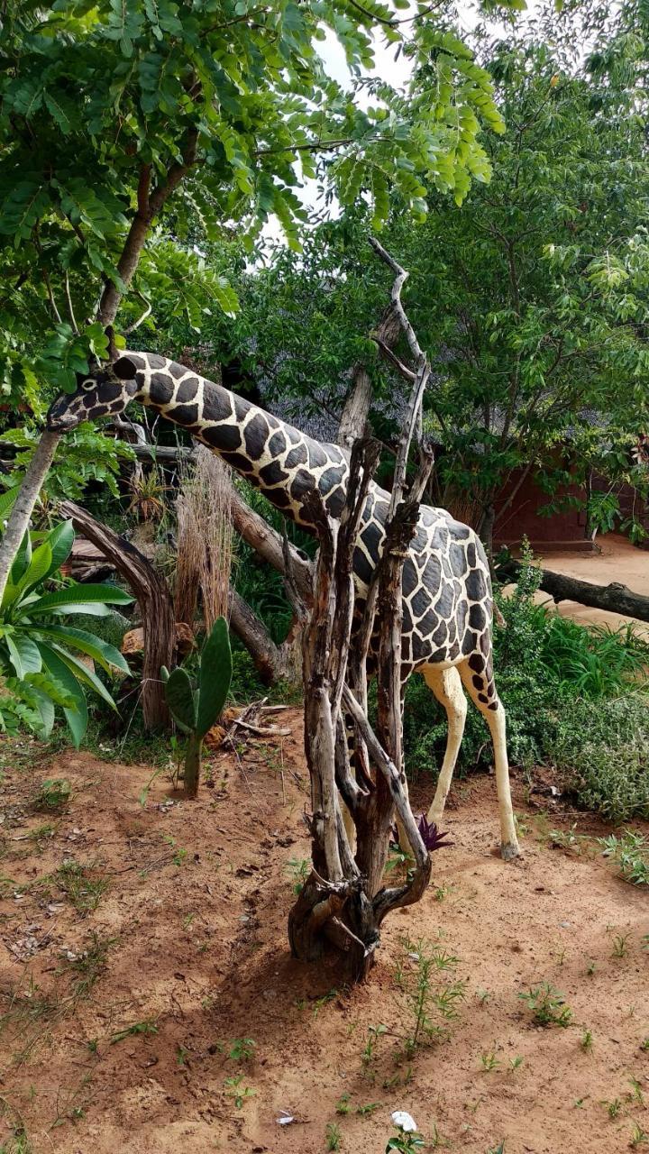 Elephant Trail Guesthouse And Backpackers Kasane Ngoại thất bức ảnh